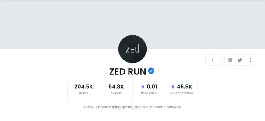 ZED RUN коллекция opensea