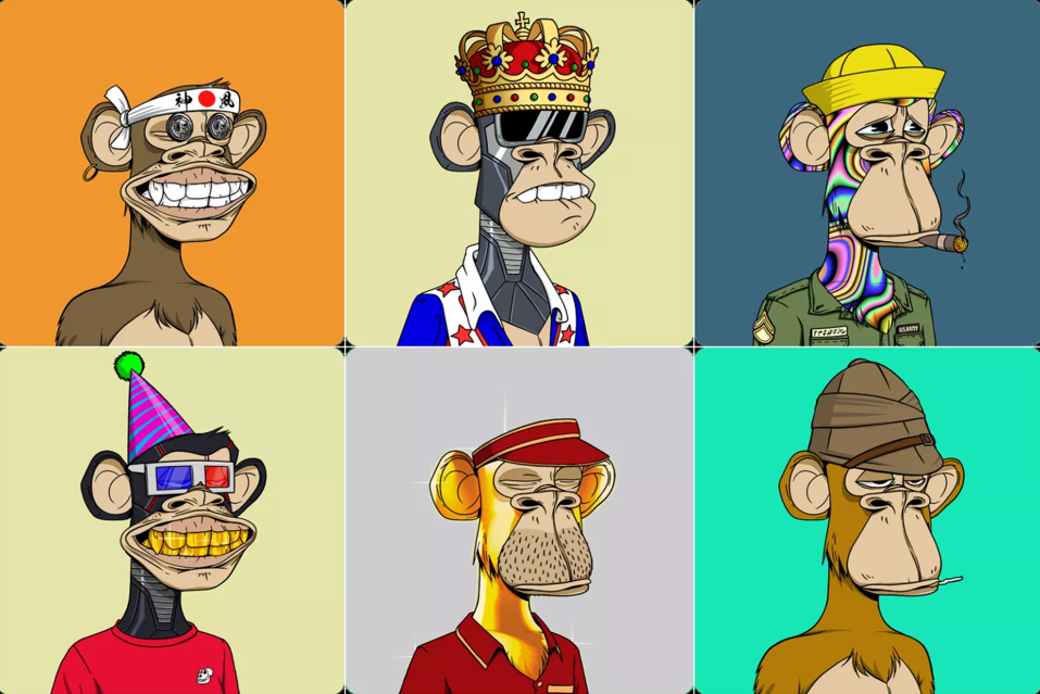 коллекция NFT Bored Ape Yacht Club