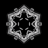 BrainDrops Ephemeral Bewilderment