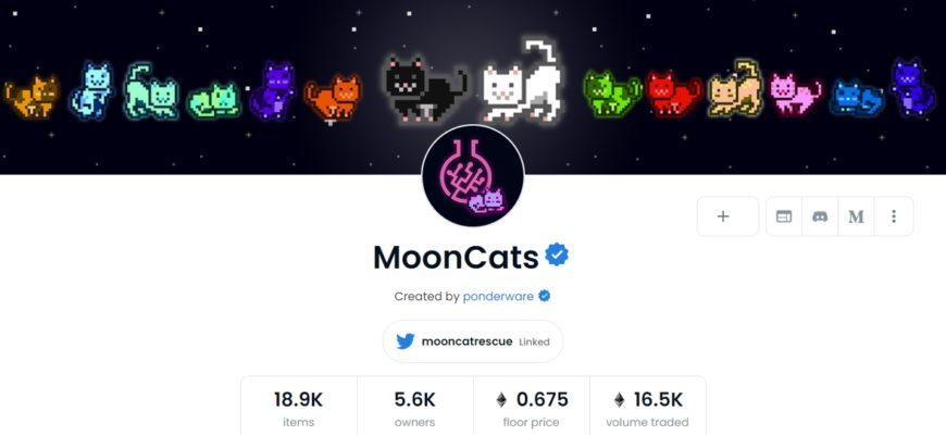 MoonCats nft токен